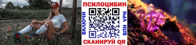 Купить где  Грязовец  Псилоцибиновые грибы GOLDEN TEACHER 